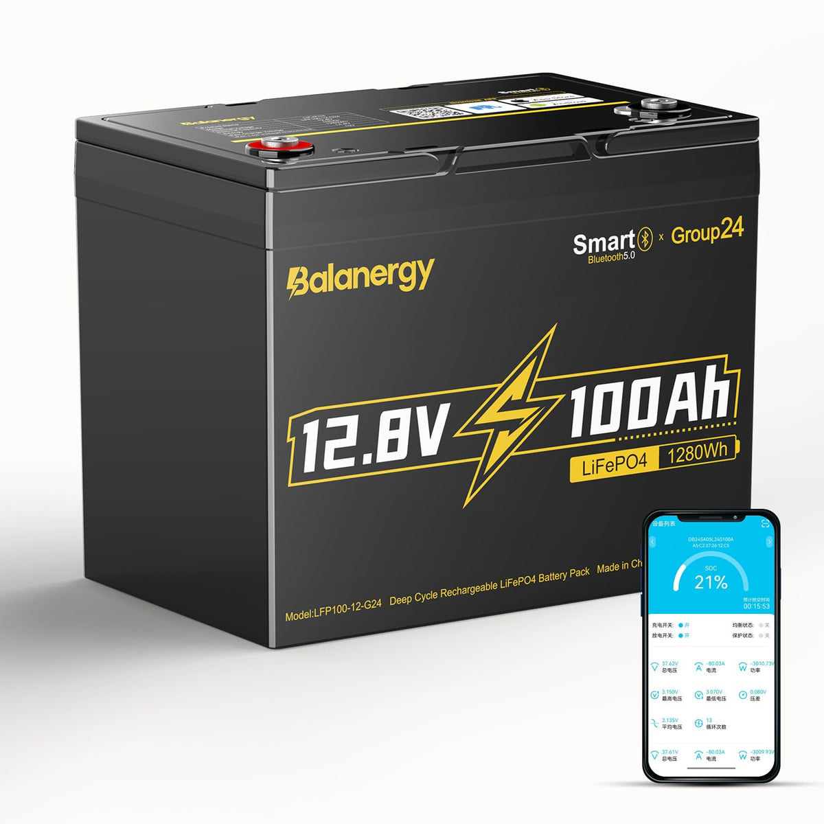 12V 100Ah LiFePO4 Lithium Battery with 100A BMS M242
