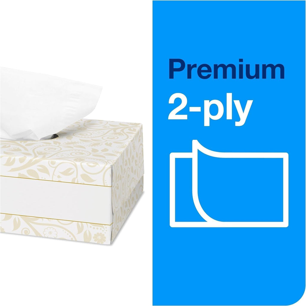Natural Paper Hand Towel Roll and White 2-Ply Facial Tissue Y62907