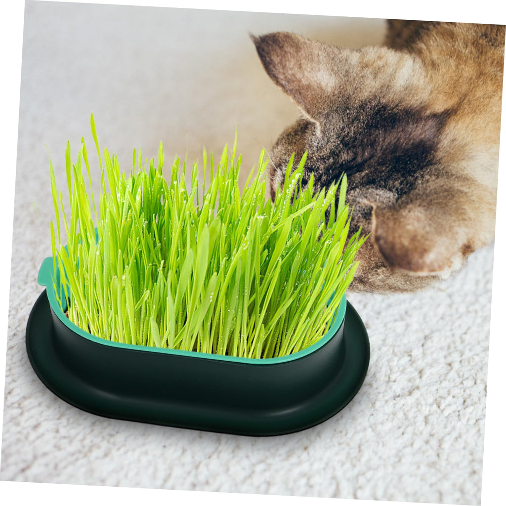 3 Pack Plastic Cat Grass Planter Boxes E15991