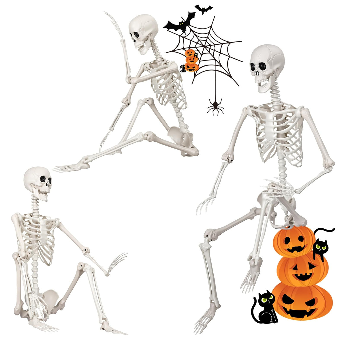5.4FT Plastic Full Body Skeleton with Movable Joints W125310
