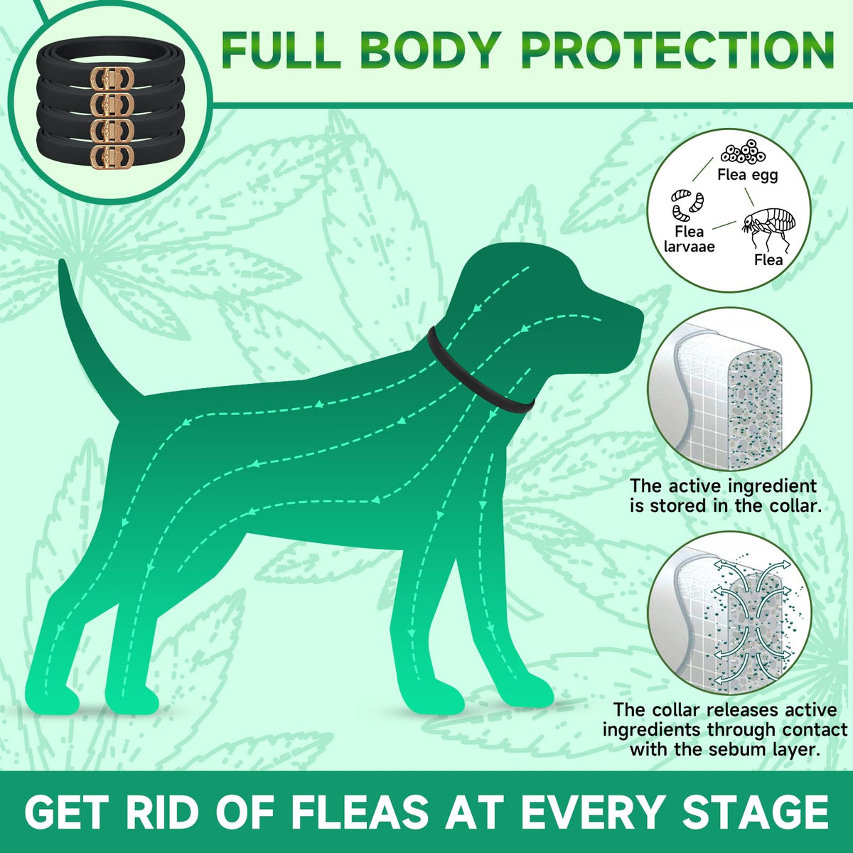 4 Pack Flea Collar for Dogs B455110
