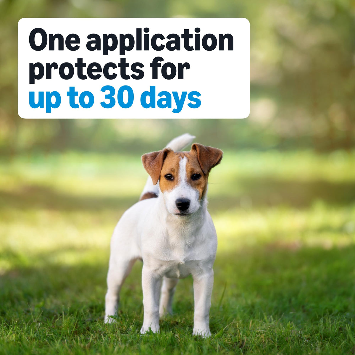 Flea, Tick & Mosquito Topical Treatment for Medium Dogs, 6 Count P92698