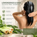 Sulfate-Free Shampoo & Conditioner Set 8 oz U133425