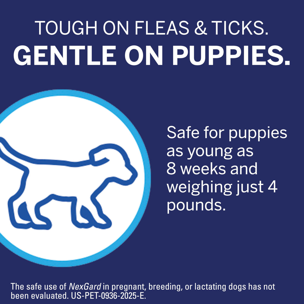Flea and Tick Chewables for Dogs 4 to 10 lbs Beef Flavored G821654