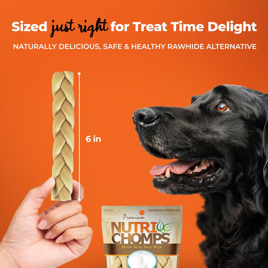 Rawhide Free Dog Chews, Milk Flavor, 6in Braids, 4ct F4298