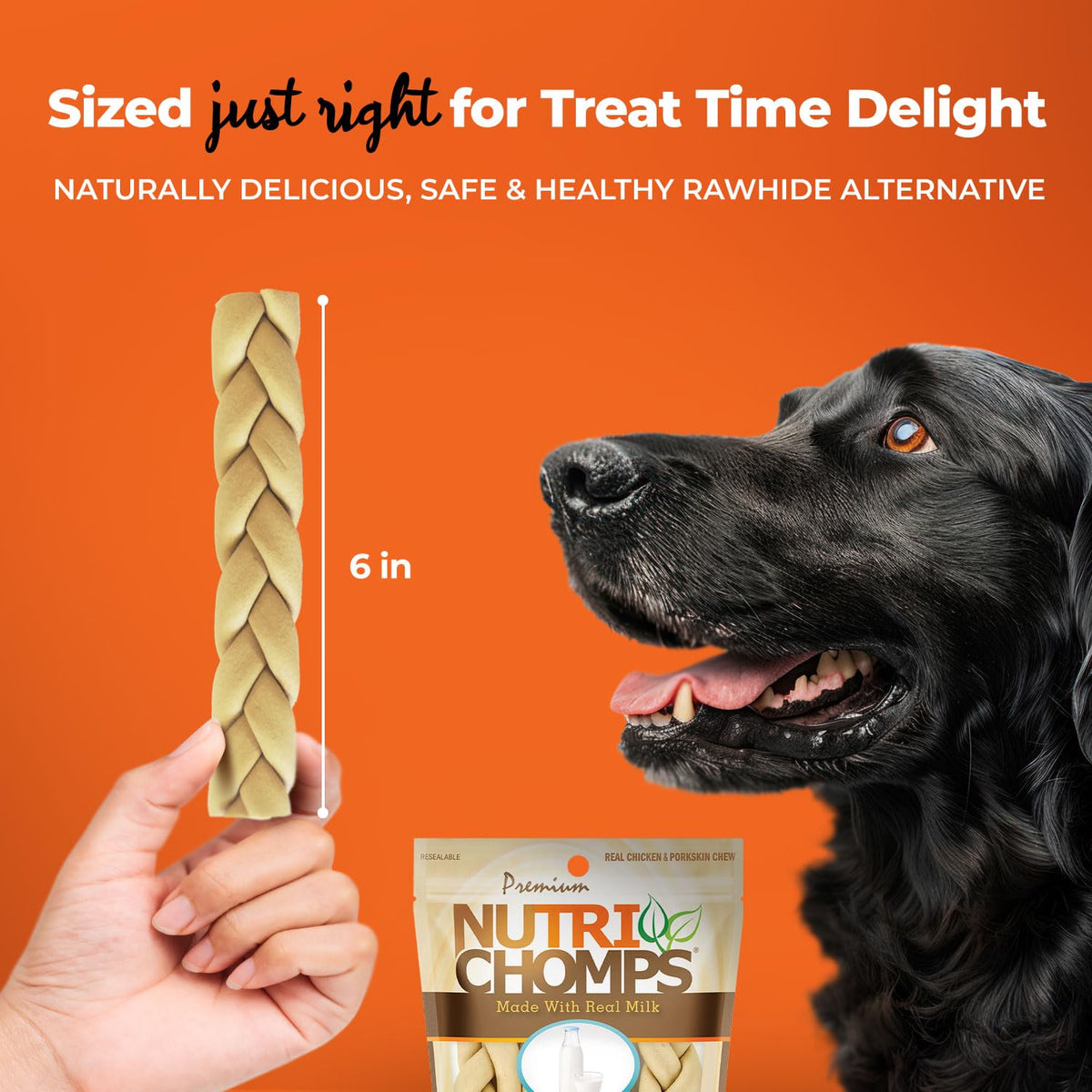Rawhide Free Dog Chews, Milk Flavor, 6in Braids, 4ct F4298