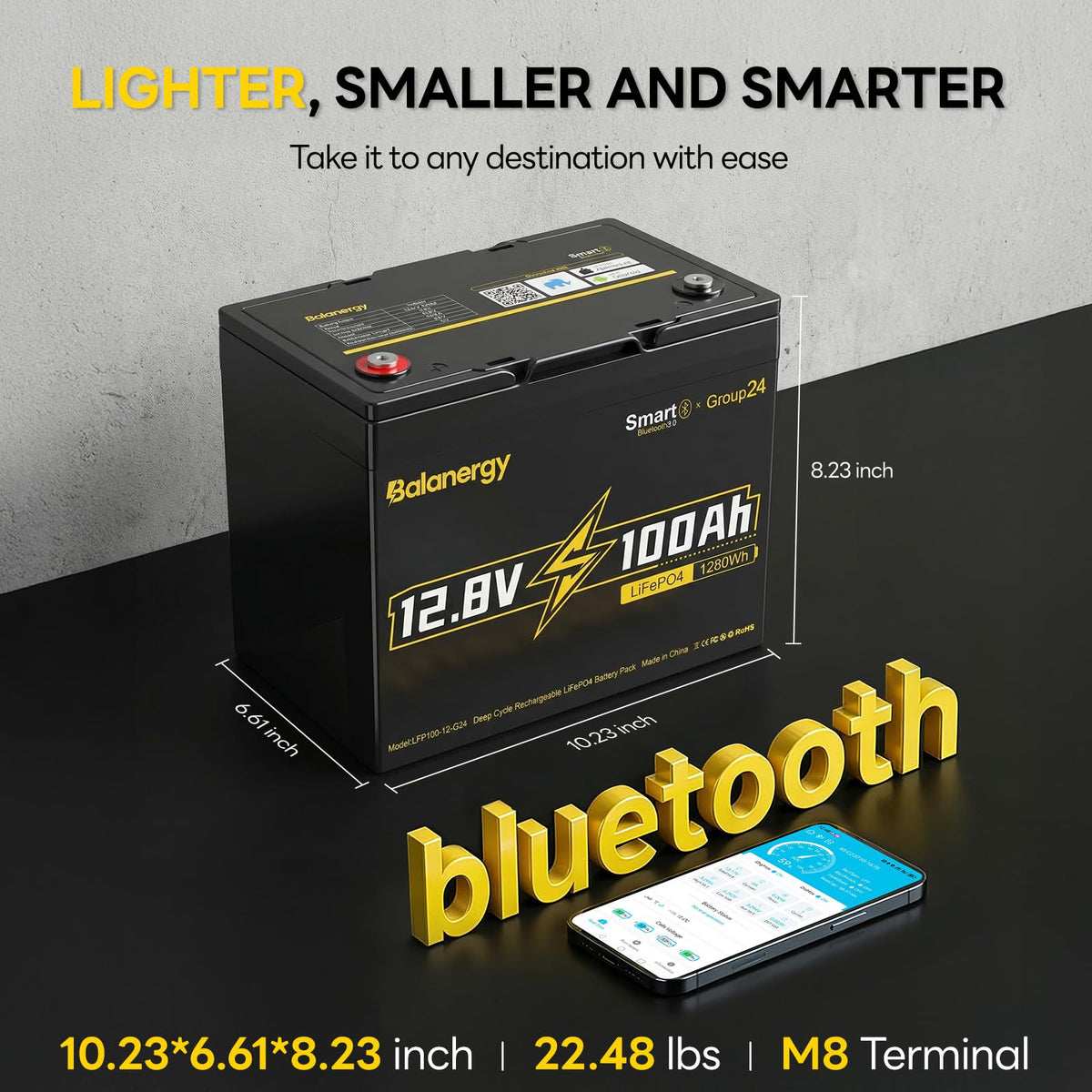 12V 100Ah LiFePO4 Lithium Battery with 100A BMS M242