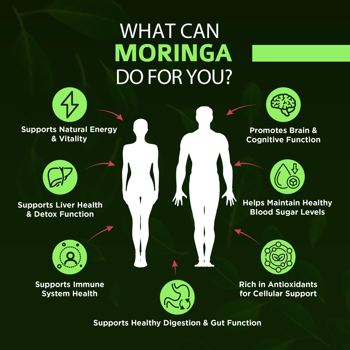 Organic Moringa 1000mg 120 Vegan Capsules V970