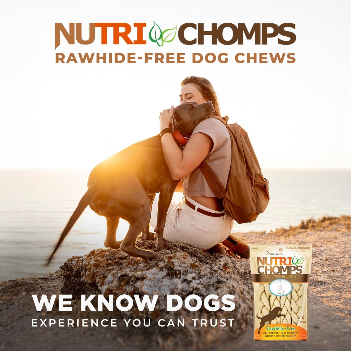 Rawhide Free Dog Chews, Milk Flavor, 6in Braids, 4ct F4298