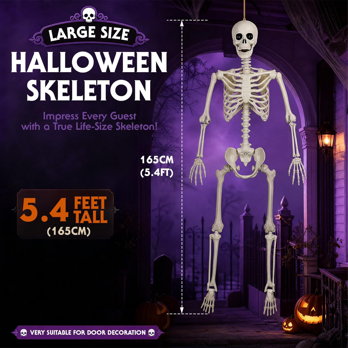 5.4FT Plastic Full Body Skeleton with Movable Joints W125310