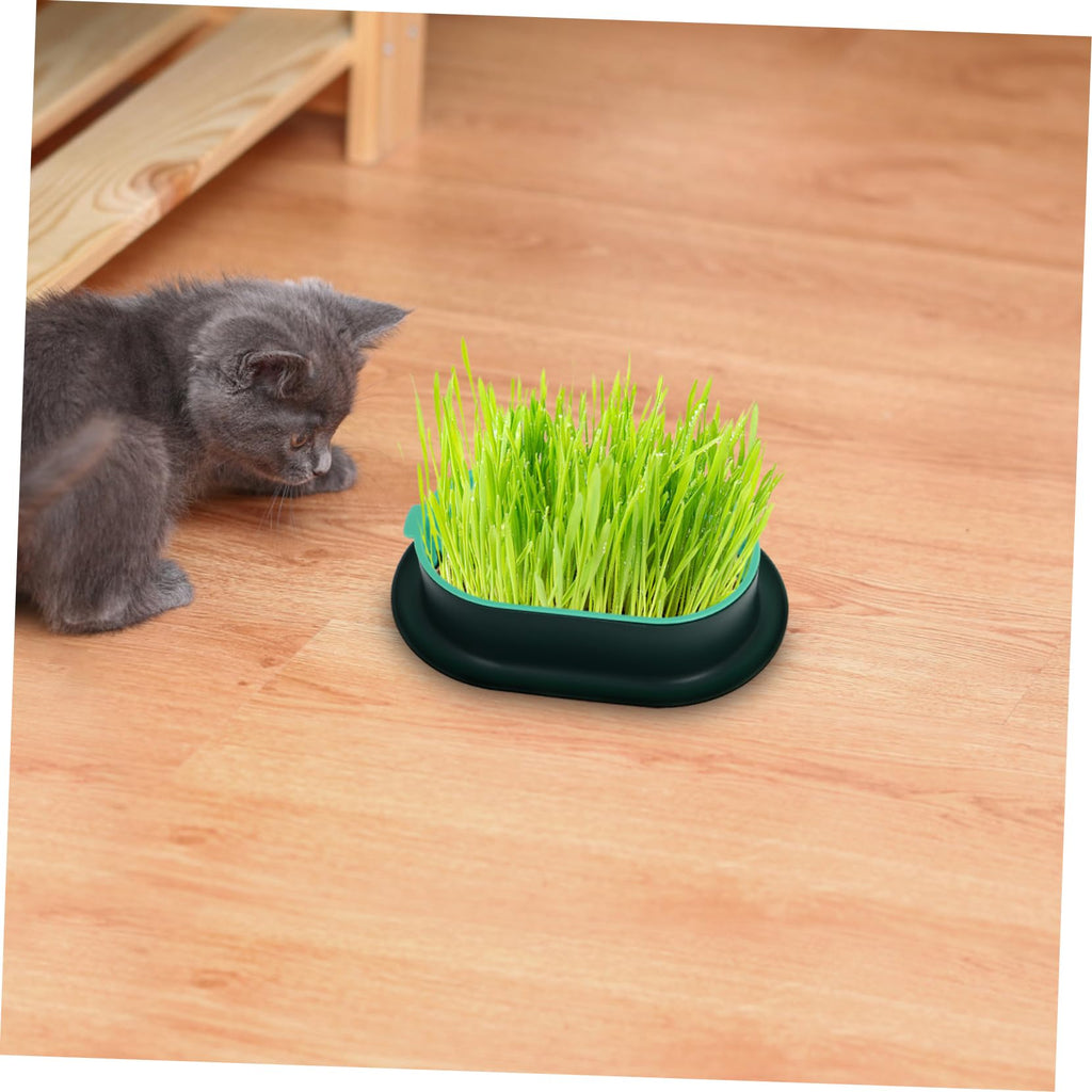 3 Pack Plastic Cat Grass Planter Boxes E15991