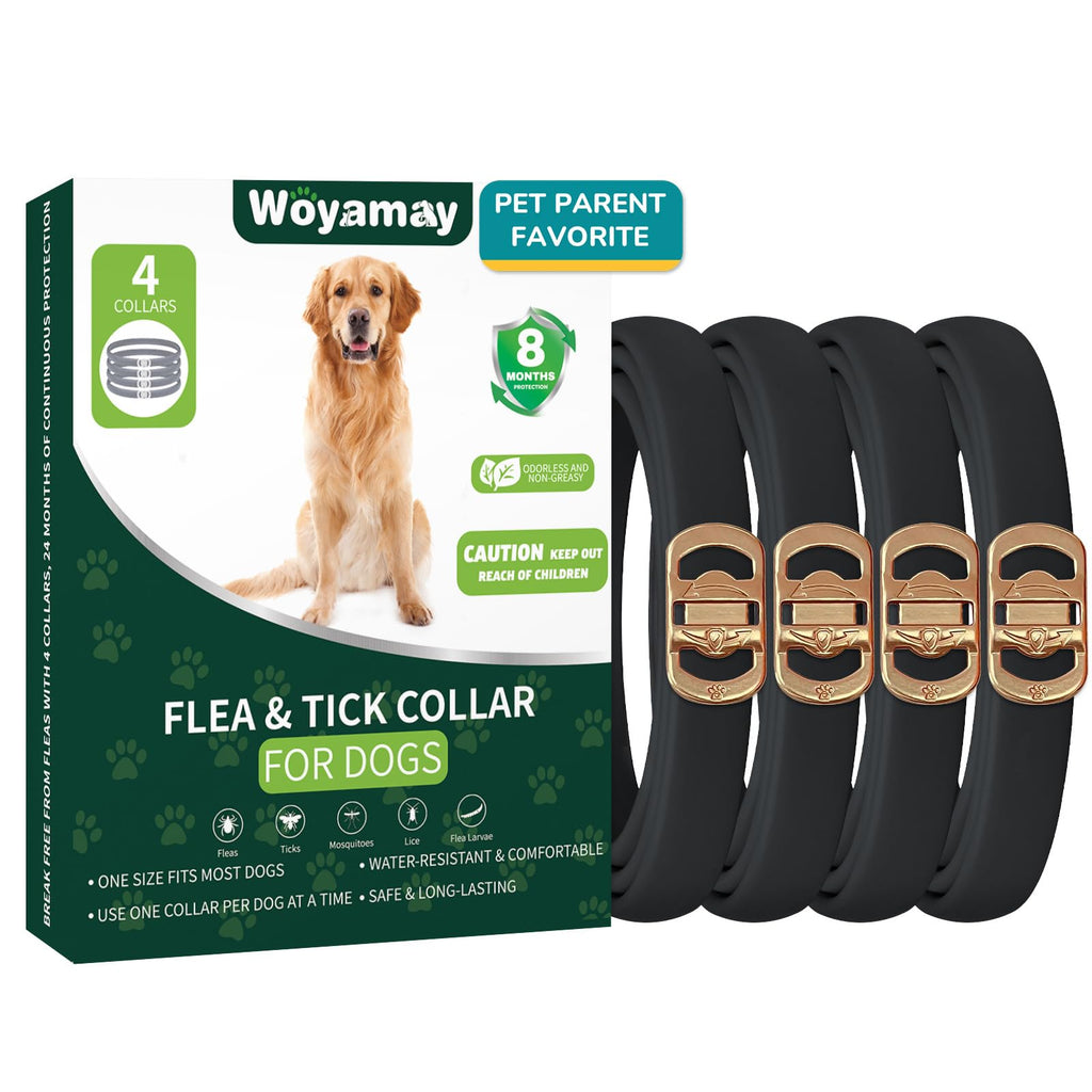 4 Pack Flea Collar for Dogs B455110