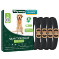 4 Pack Flea Collar for Dogs B455110