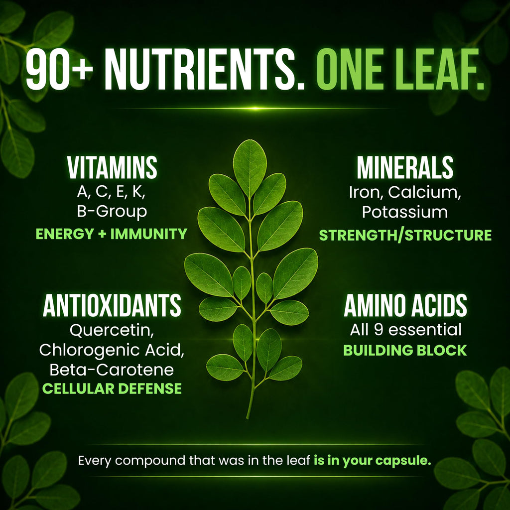 Organic Moringa 1000mg 120 Vegan Capsules V970