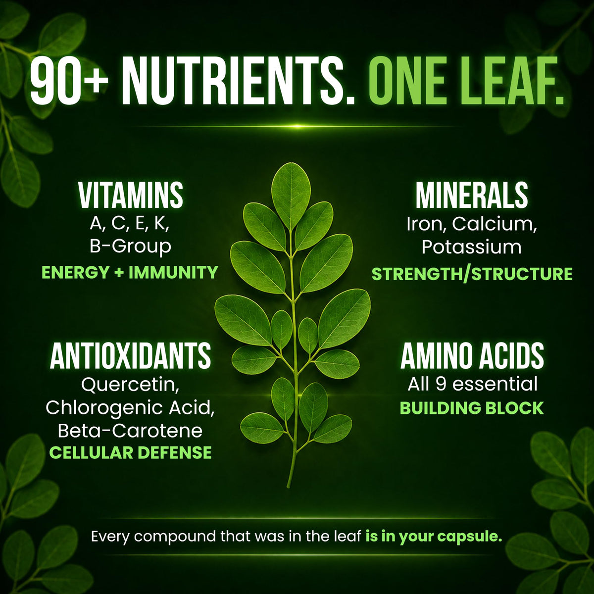 Organic Moringa 1000mg 120 Vegan Capsules V970
