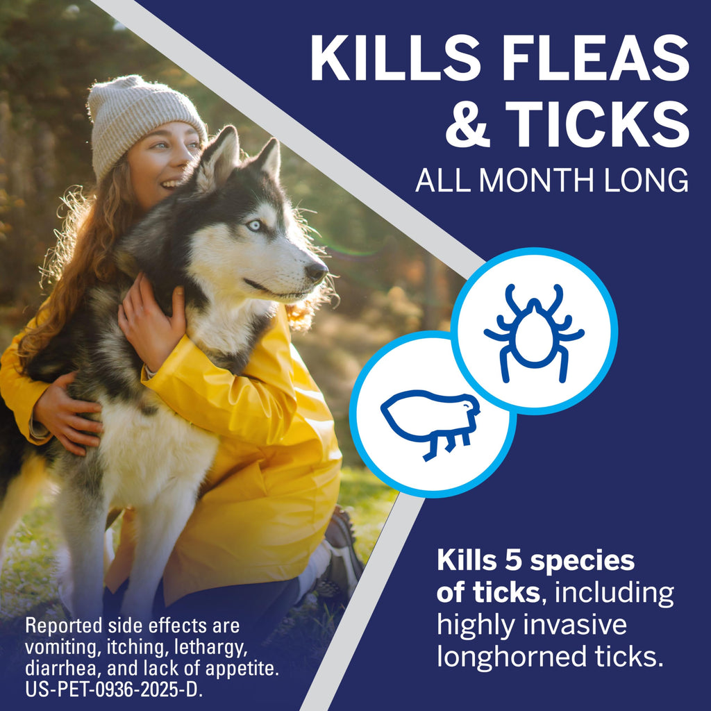 Flea and Tick Chewables for Dogs 4 to 10 lbs Beef Flavored G821654