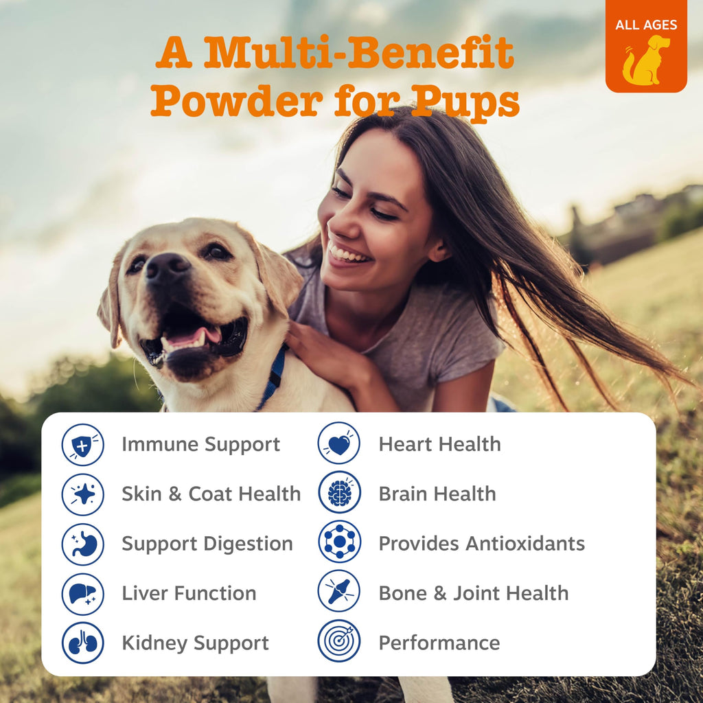 Dog Multivitamin Powder 30 Ct P4744