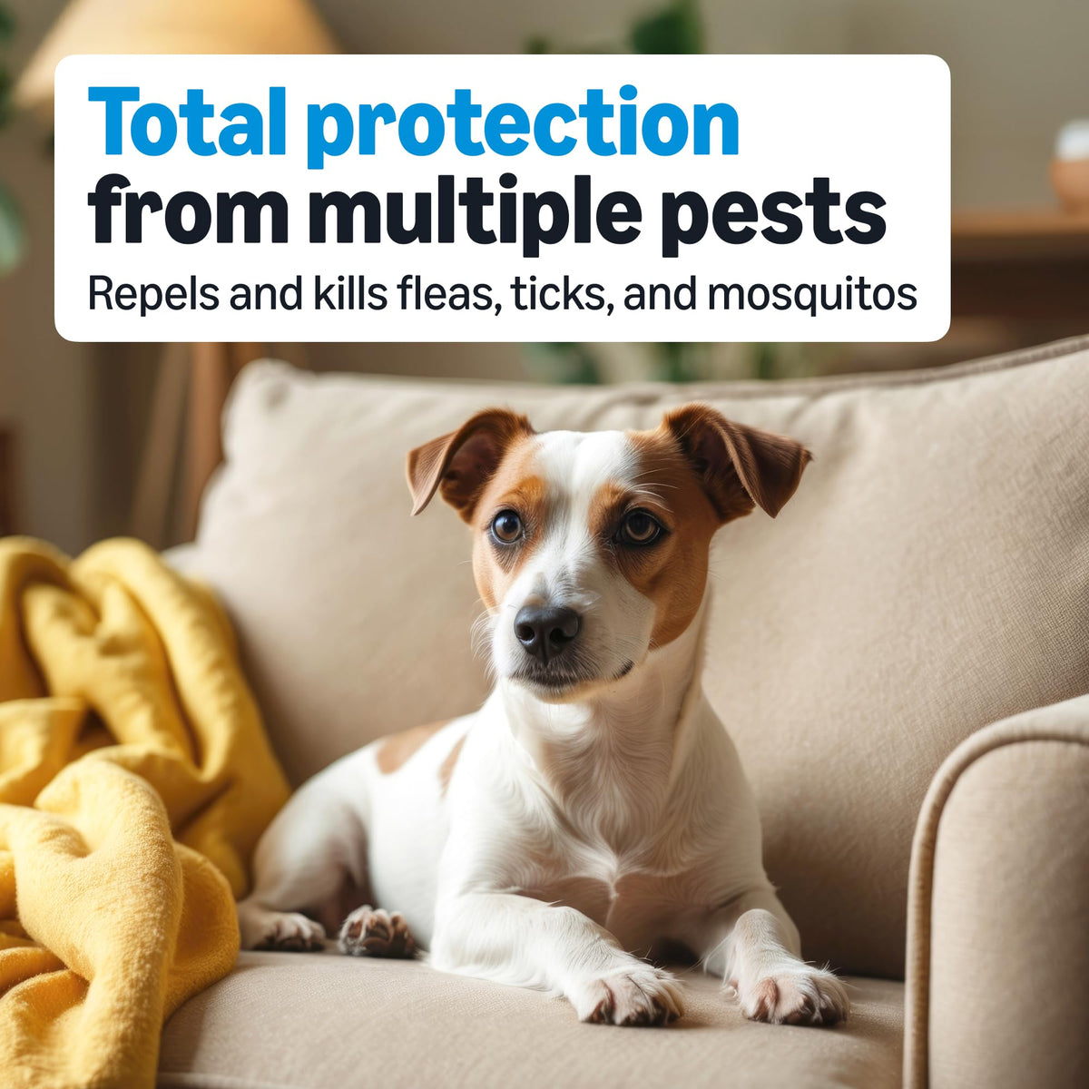 Flea, Tick & Mosquito Topical Treatment for Medium Dogs, 6 Count P92698