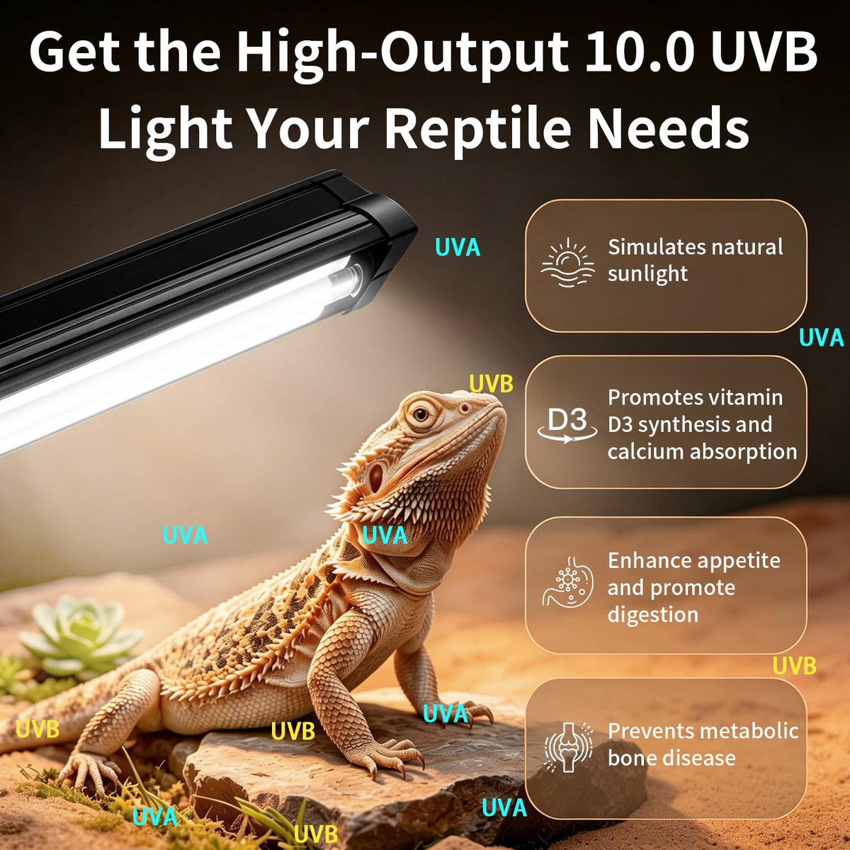 8W UVB Reptile Light Fixture Combo Kit with Timer Z516795