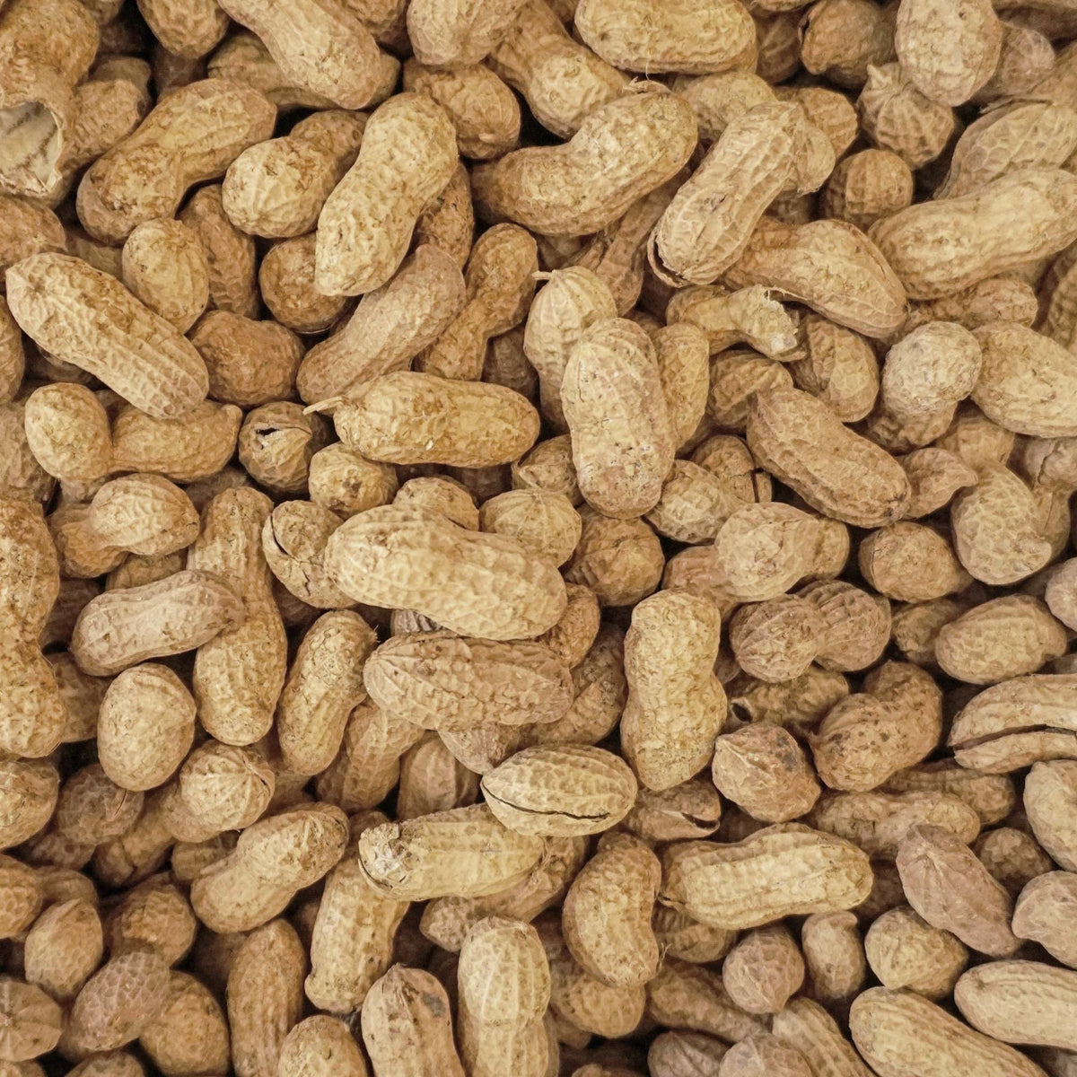 25 lb Animal Peanuts F482335