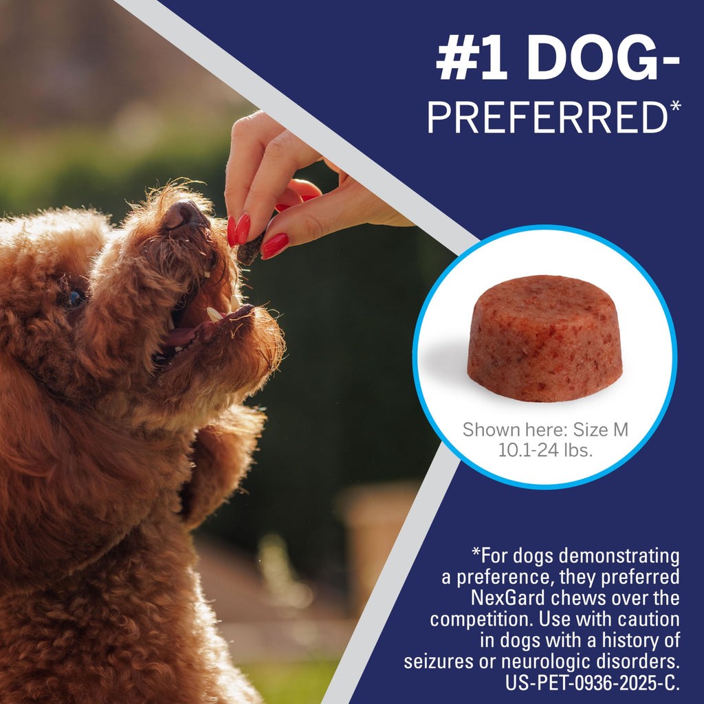 Flea and Tick Chewables for Dogs 4 to 10 lbs Beef Flavored G821654