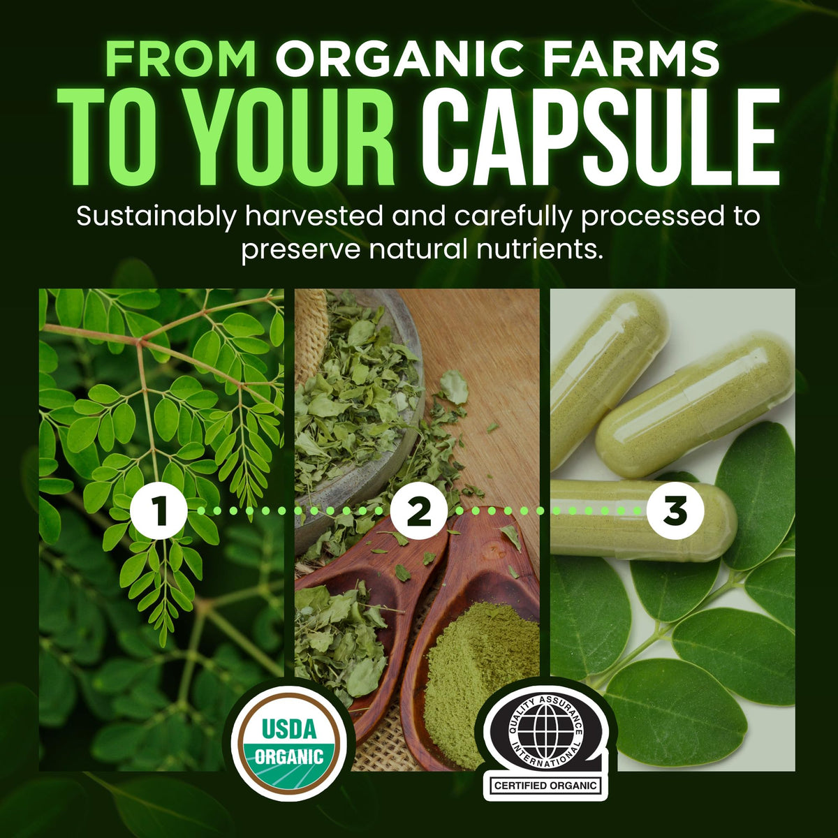 Organic Moringa 1000mg 120 Vegan Capsules V970