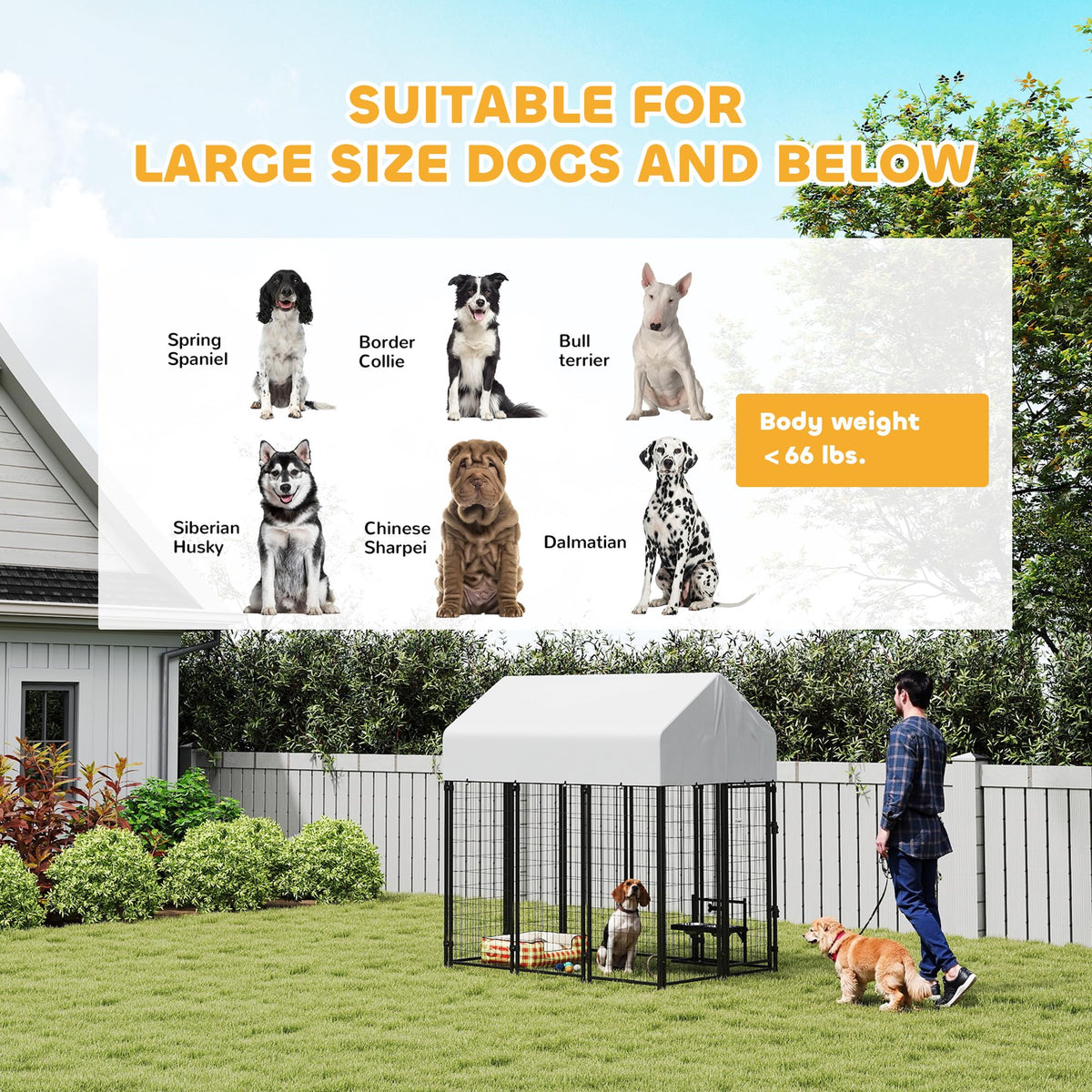 Outdoor Dog Kennel with Roof, 6' x 4' x 6' Heavy Duty Welded Wire Dog Playpen Enclosure P527