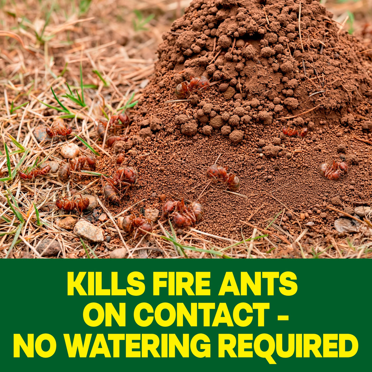 Outdoor Fire Ant Killer Dust 24 oz I38085